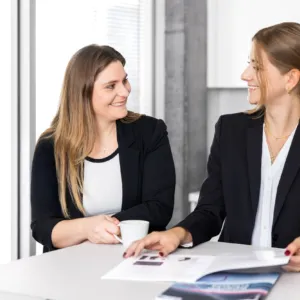 Ordentliche Revision