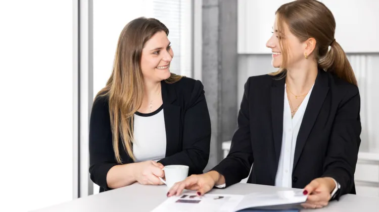 Ordentliche Revision