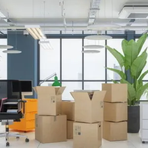 Umzug Standort BE Bern